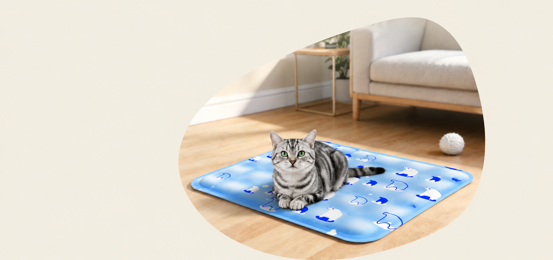slider image slider_item_2